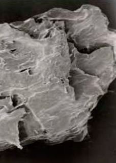 Human Dentin as Novel Biomaterial